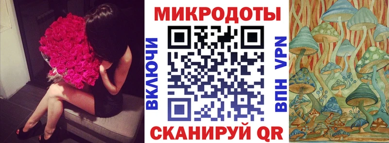 Псилоцибиновые грибы Cubensis блэк спрут ONION Харабали